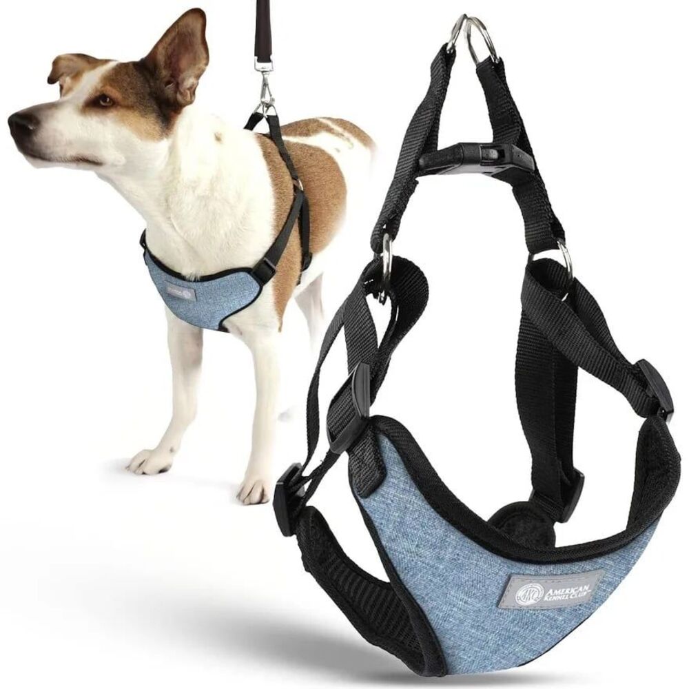 AKC Padded Step-in Dog Harness – Comfort Fit with Dual D-Ring No Pull GREEN
